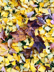 Similar image 21692328