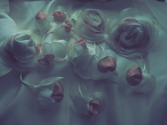 Similar image 21692515