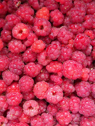 Similar image 21692516