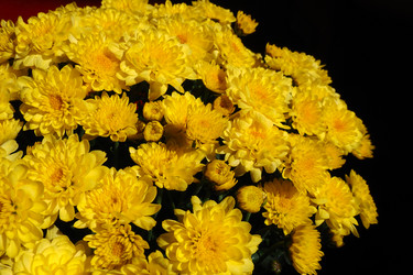 Similar image 21692519