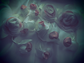 Similar image 21692520