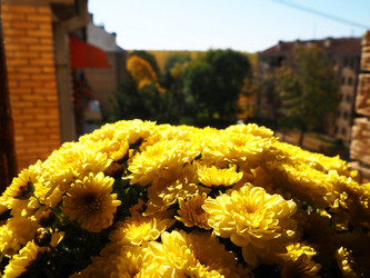 Similar image 21692521