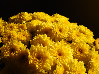 Similar image 21692523