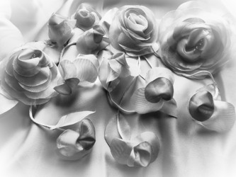 Similar image 21692529