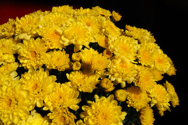 Similar image 21692532