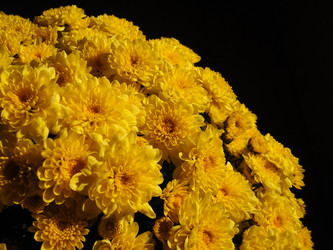 Similar image 21692534