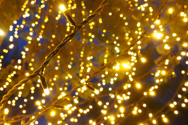 Similar image 21692535