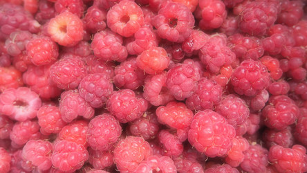 Similar image 21692537