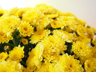 Similar image 21692539