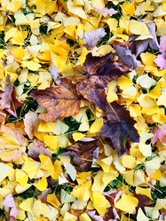 Similar image 21692540