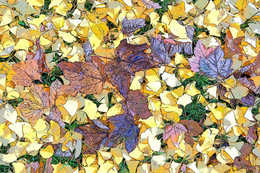 Similar image 21692544