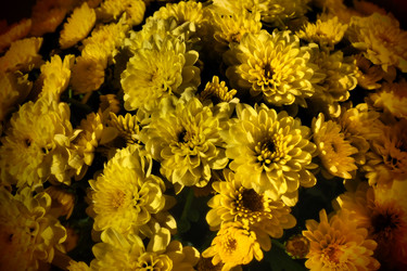 Similar image 21692547