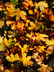 Similar image 21692548