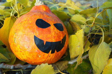 Similar image 21692550