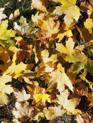 Similar image 21692553