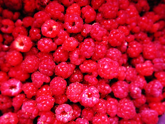 Similar image 21692555