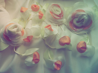 Similar image 21692334