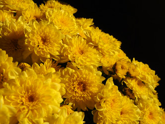 Similar image 21692557