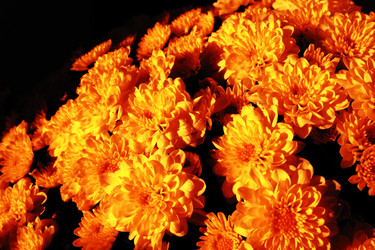 Similar image 21692561