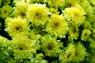 Similar image 21692562