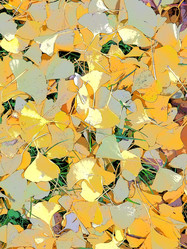 Similar image 21692571