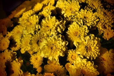 Similar image 21692572