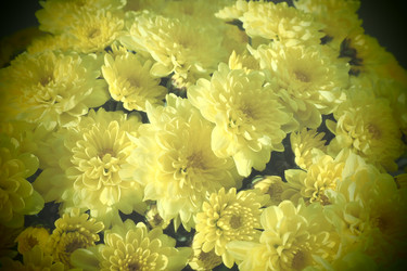 Similar image 21692576