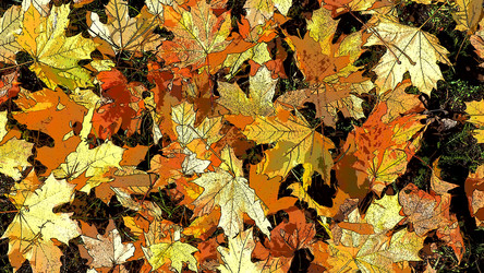 Similar image 21692579