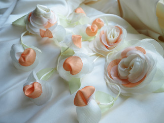 Similar image 21692583