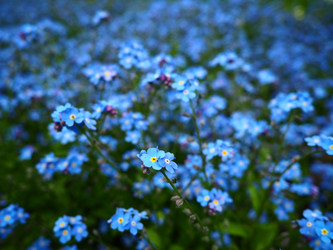 Similar image 21692585