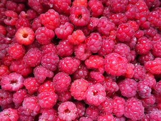 Similar image 21692587