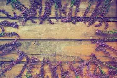 Similar image 21692588