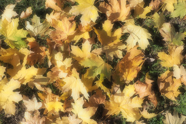 Similar image 21692590