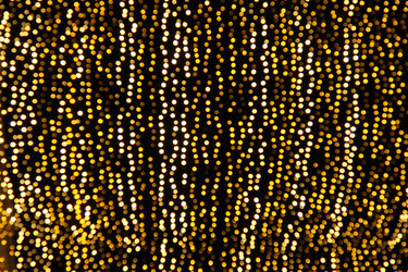 Similar image 21692591