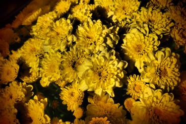 Similar image 21692595