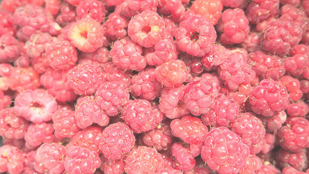 Similar image 21692604