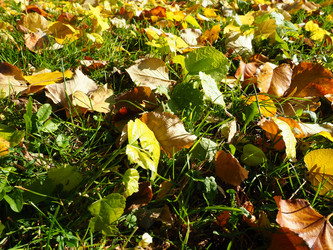 Similar image 21692608