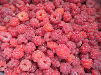 Similar image 21692611