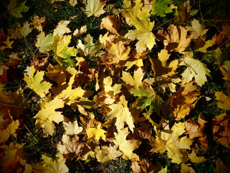 Similar image 21692612