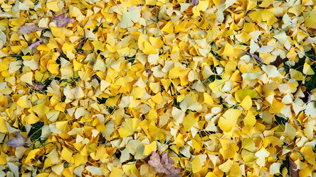 Similar image 21692614