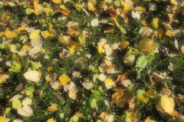 Similar image 21692671