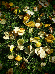 Similar image 21692672