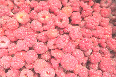 Similar image 21692676