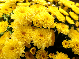 Similar image 21692677