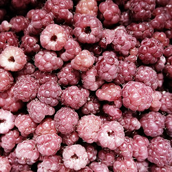 Similar image 21691436