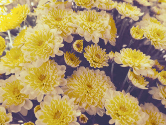 Similar image 21692344