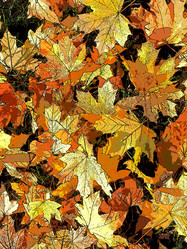 Similar image 21692347