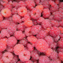 Similar image 21692349