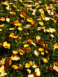 Similar image 21692351