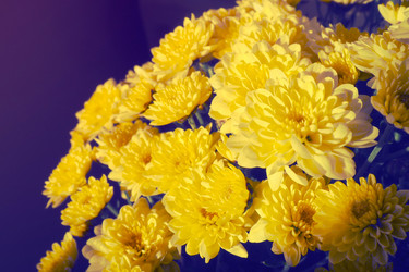 Similar image 21692352